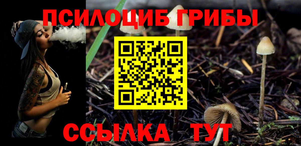 как найти   Галлюциногенные грибы мухоморы  Псилоцибиновые грибы мухоморы  Вход с VPN  Новодвинск 