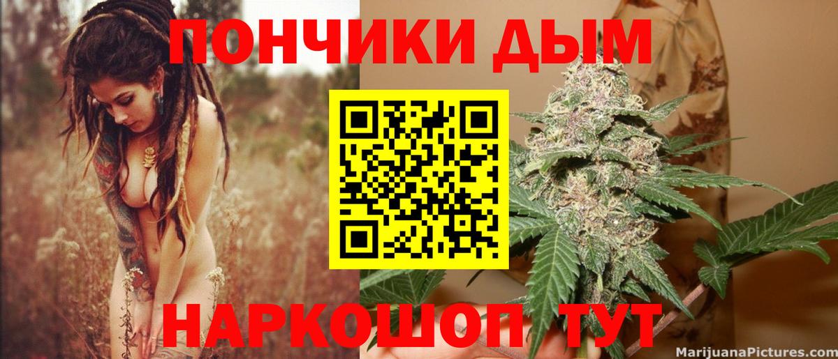 Бошки Шишки семена Новодвинск
